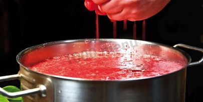 вино из клубники клубничное