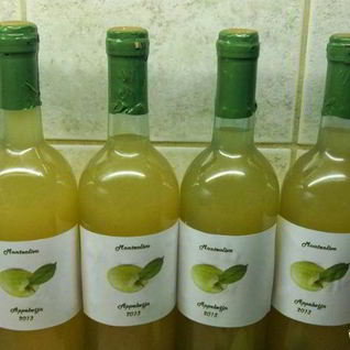 Яблочное вино