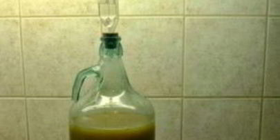 яблочное вино