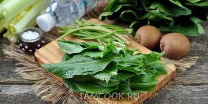 зеленый коктейль из сельдерея со щавелем