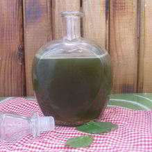 Рецепт Зеленый мятный сироп