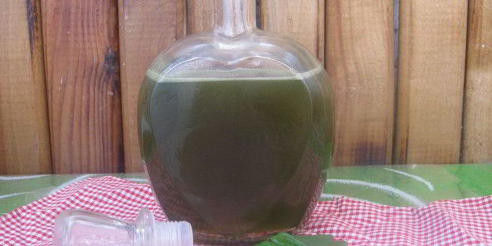 Рецепт зеленый мятный сироп