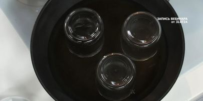 дунайский салат