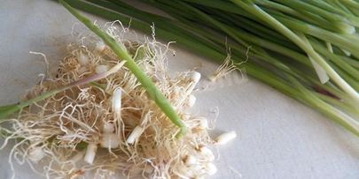 необычный салат с маринованным виноградом и зеленым луком