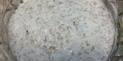 салат нежность с курицей