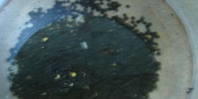 салат с рисом, семгой и овощами