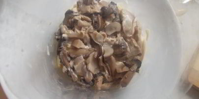 слоеный салат с курицей и чипсами в пикантной заправке