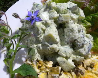 Йогуртовый соус с бараго к салату