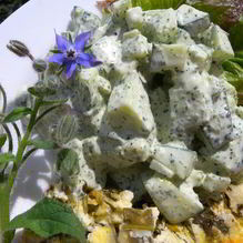 Рецепт Йогуртовый соус с бараго к салату