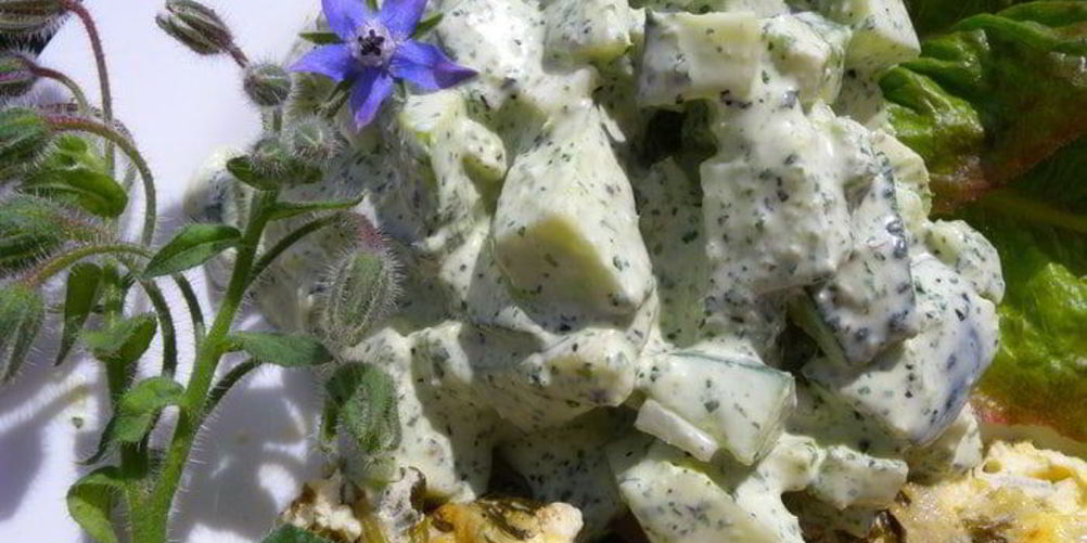 Рецепт йогуртовый соус с бараго к салату