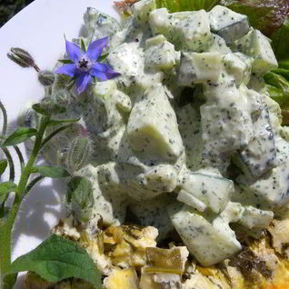 Йогуртовый соус с бараго к салату