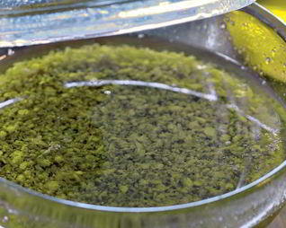 Соус Банья кауда