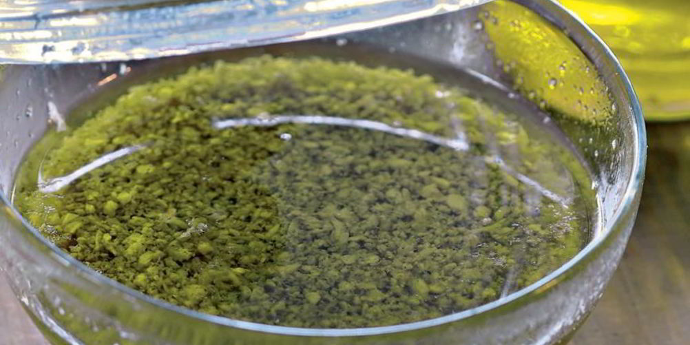 Рецепт соус банья кауда