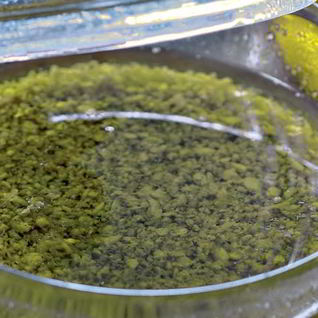 Соус Банья кауда