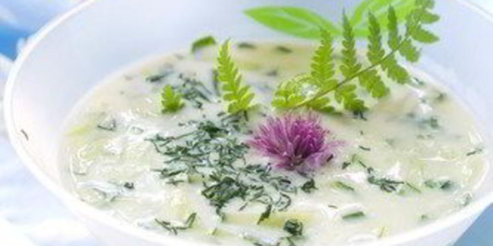 Рецепт соус из огурцов с зеленью и чесноком дзадзики