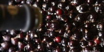 соус к мясу из черной смородины