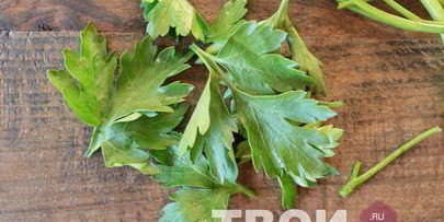 зеленый соус