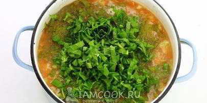 борщ из свежей капусты