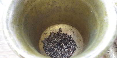 борщ с капустой