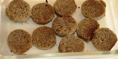 пдбиваний борщ с чесночными крутонами