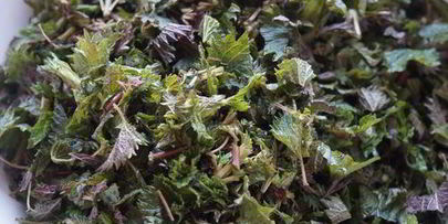 зеленый борщ с крапивой