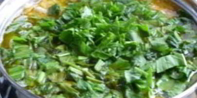 зеленый борщ с яйцом и щавелем