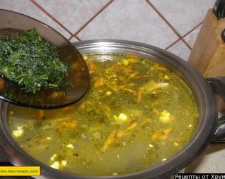 Зеленый борщ со щавелем и яйцом