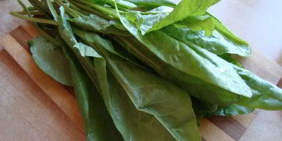 зеленый борщ со щавелем