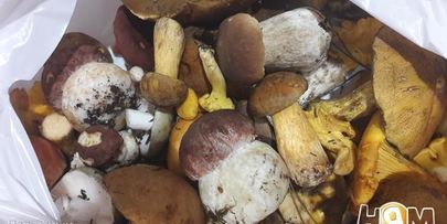 грибной крем-суп осенний