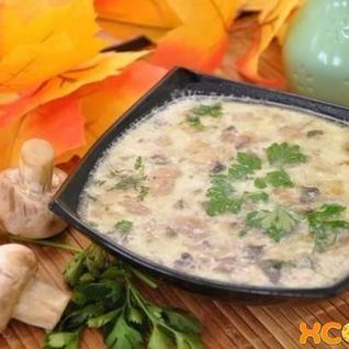 Грибной суп из шампиньонов с плавленым сыром