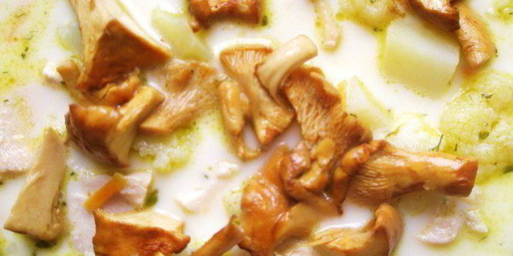 Рецепт куриный суп из цветной капусты с лесными грибами