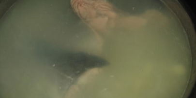 рыбный суп с горбушей