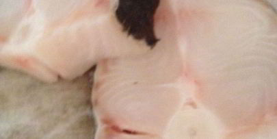 суп из палтуса по-восточному