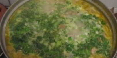 суп из замороженных подберезовиков