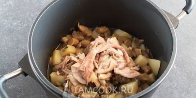 грибной суп-пюре с курицей