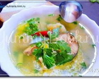 Суп рыбный с галушками