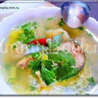 Суп рыбный с галушками