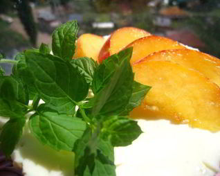 Чизкейк из пароварки