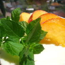 Рецепт Чизкейк из пароварки