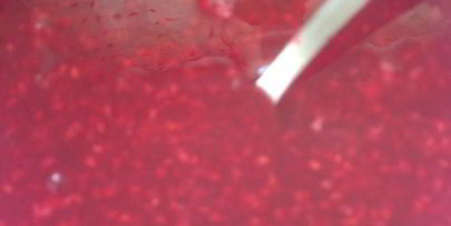 чизкейк с ягодным миксом