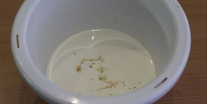 тыквенный кекс с клюквой и грецким орехом