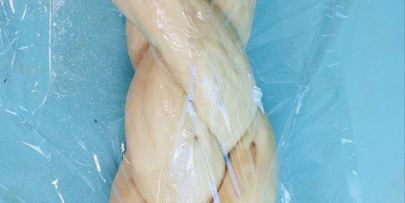 хала — батон с маком в хлебопечке