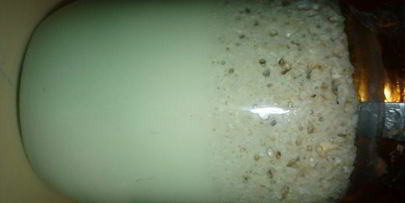 хлеб трижды три