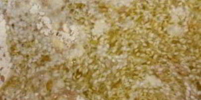 кукурузные хлебцы с семечками