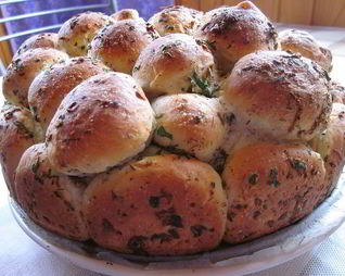 Обезьяний хлеб