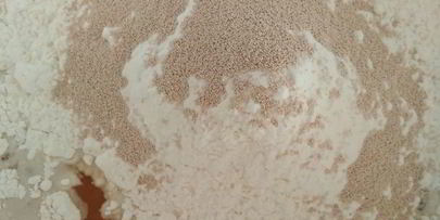 фокачча чиполлино