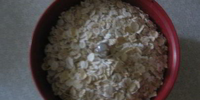 многозерновая лепешка с фруктами я ягодами