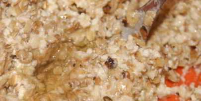 овсяное печенье с творогом и яблоком