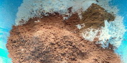 шоколадное печенье пикантное