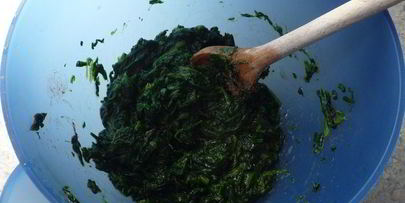 пикантный киш со шпинатом и хрустящей сырной корочкой